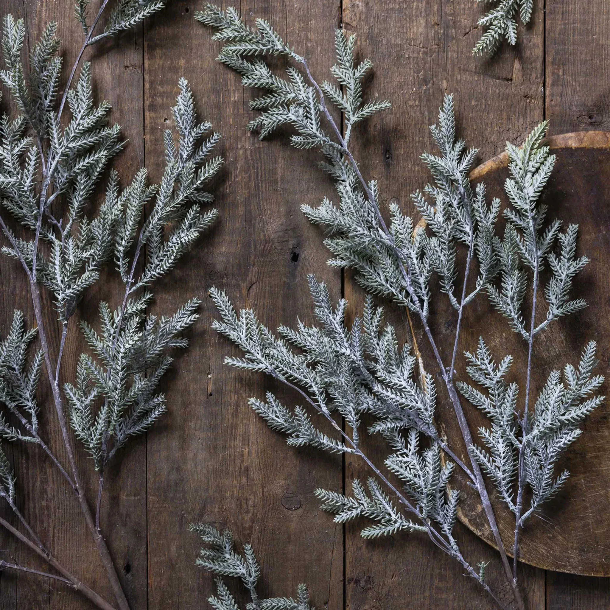 Abigail Ahern Faux Pine Branch in Frost