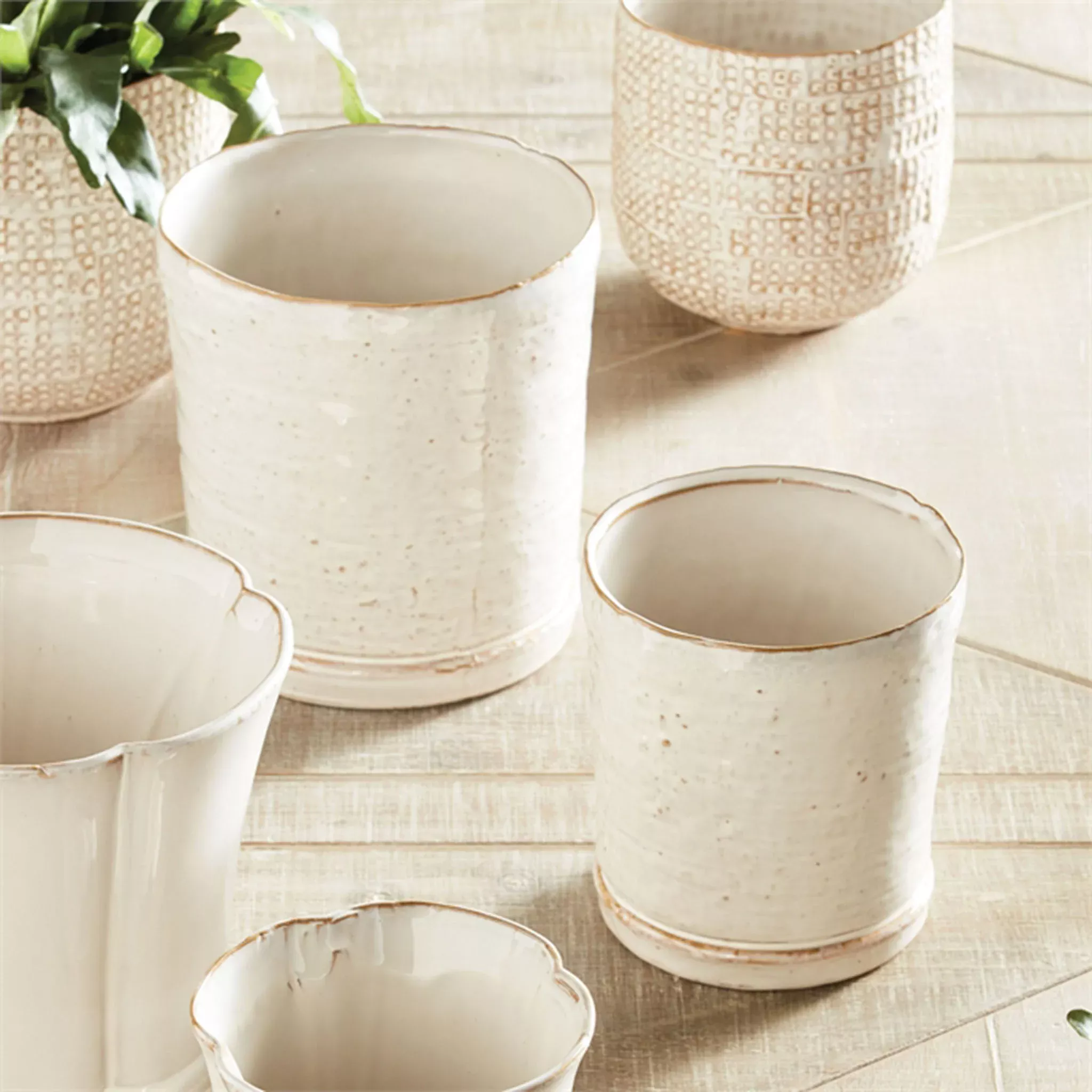 Asher Pot