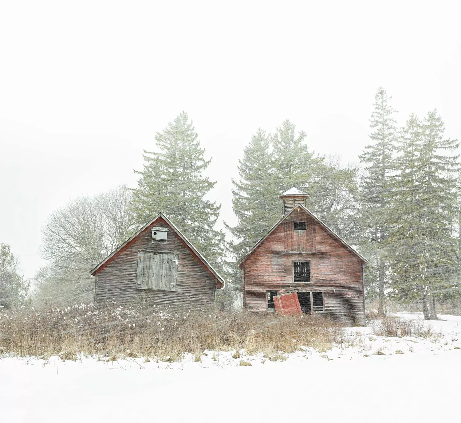 “Barn Brothers, ed. 1/10" by Jim Westphalen