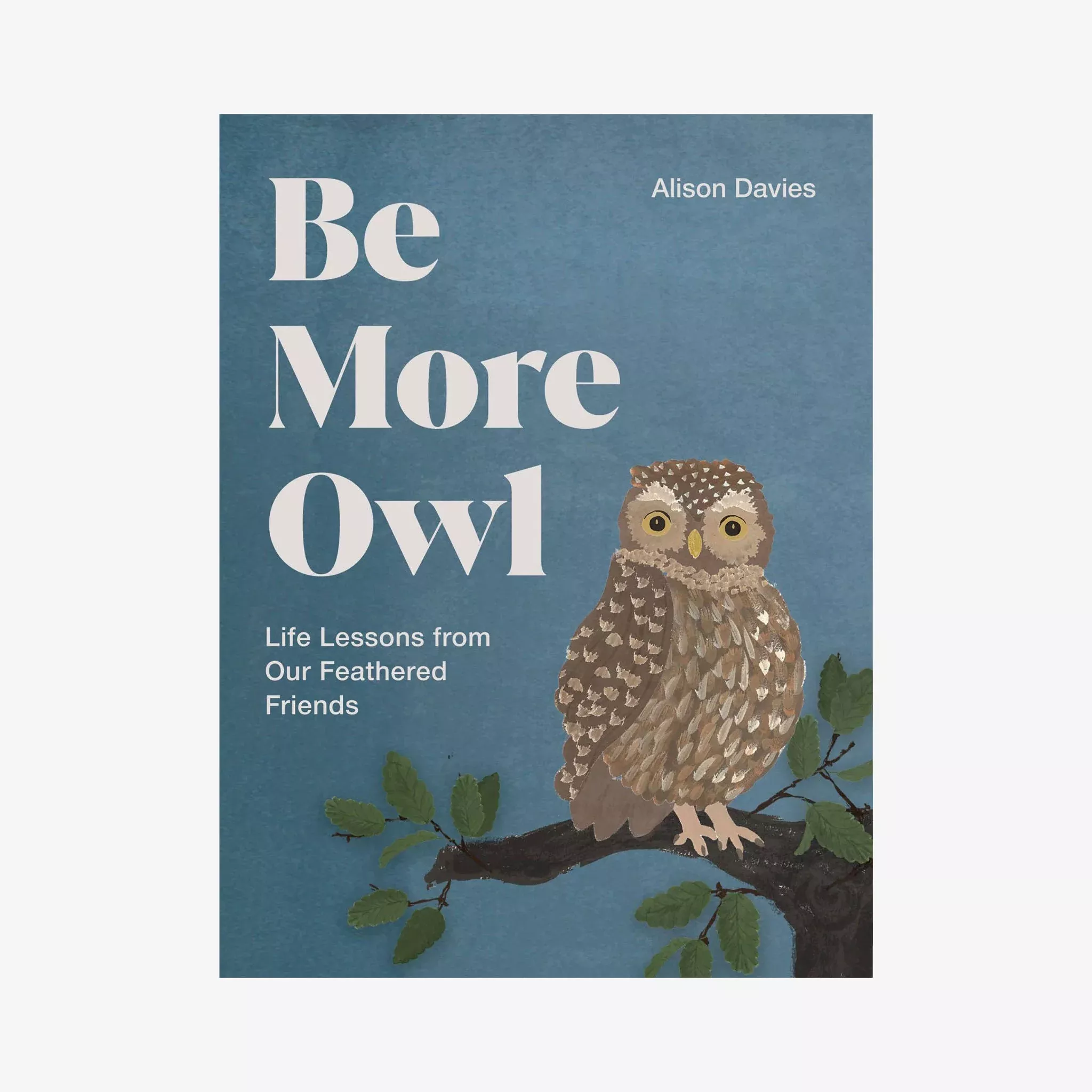 Be More Owl