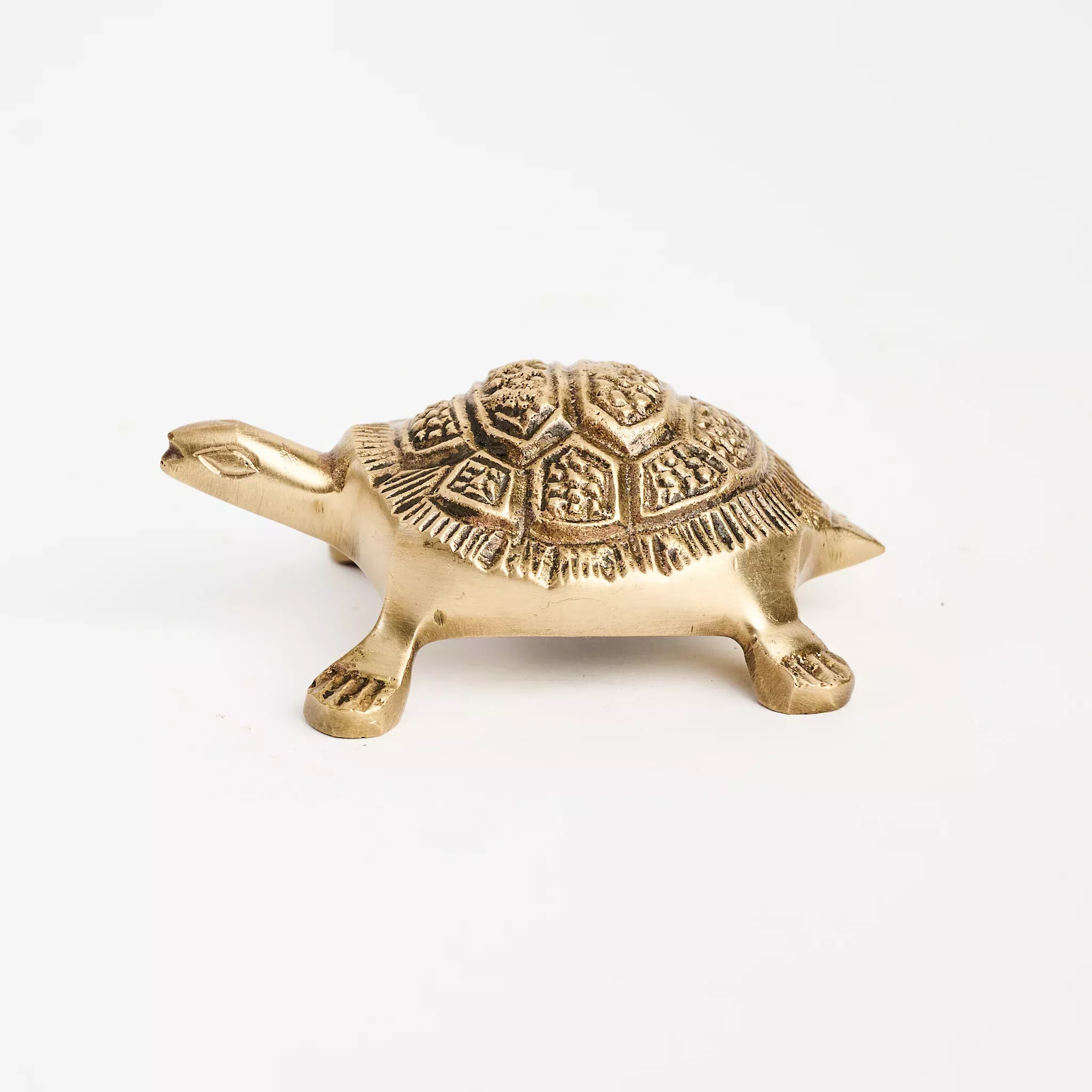 Brass Turtle Bottle Opener