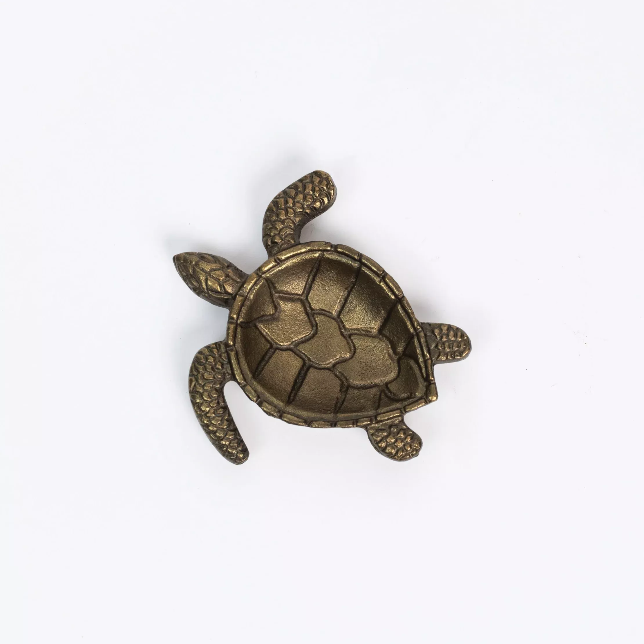 Brass Turtle Tray