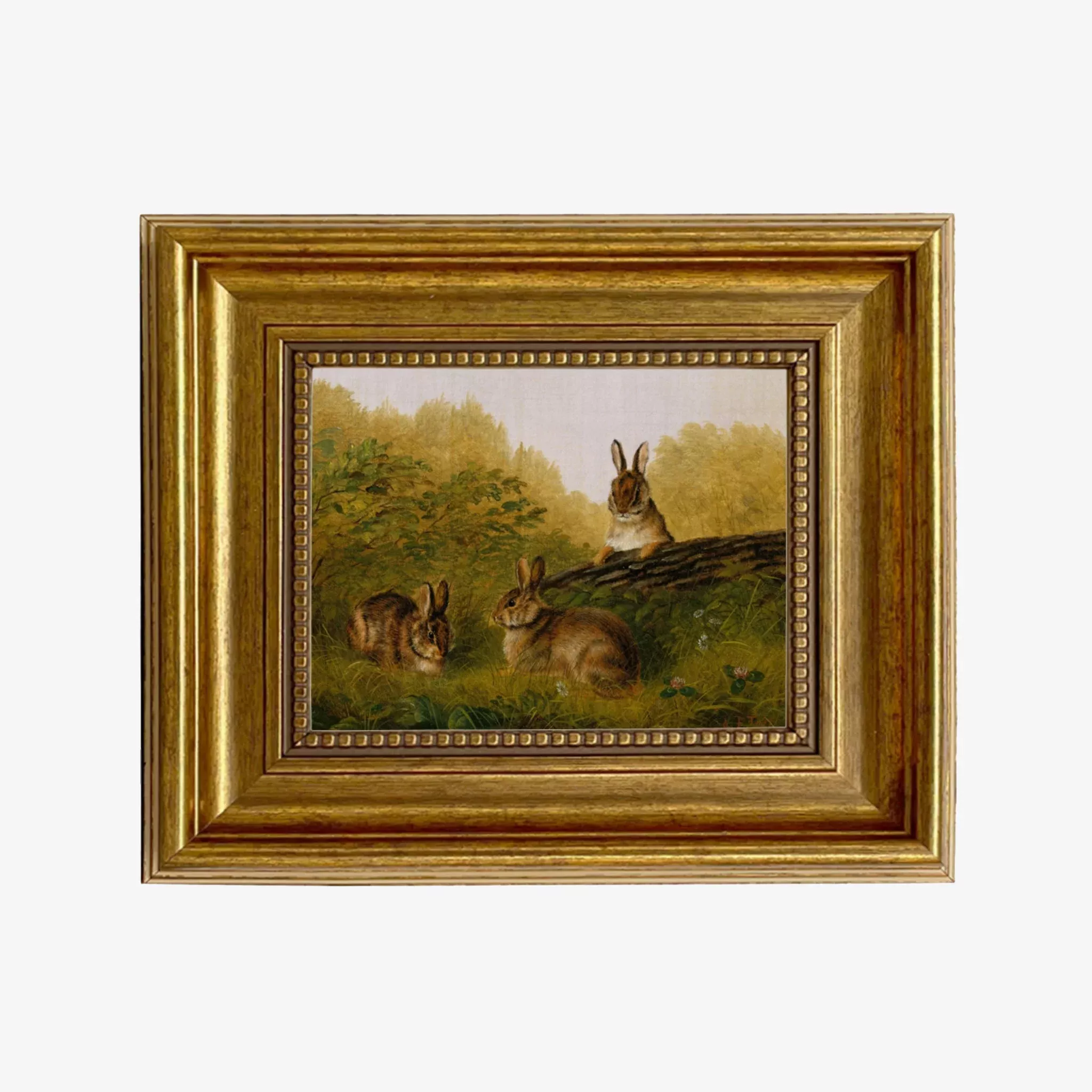 Bunnies In The Field Vintage Framed Print