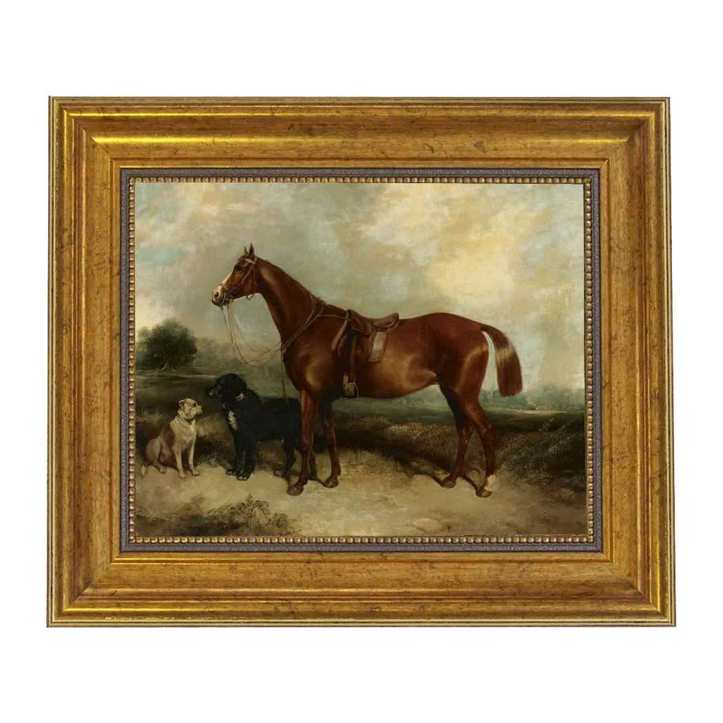 Chestnut Horse with Two Dogs Vintage Framed Print
