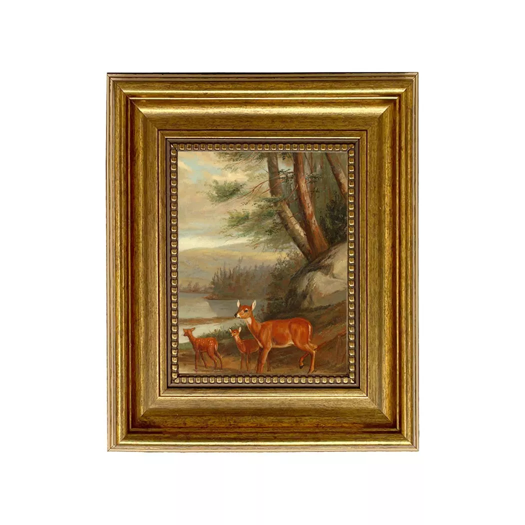 Doe With Two Fawns Framed Print
