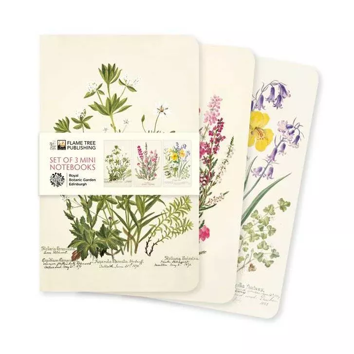Edinburgh Garden, Set of 3 Mini Notebooks