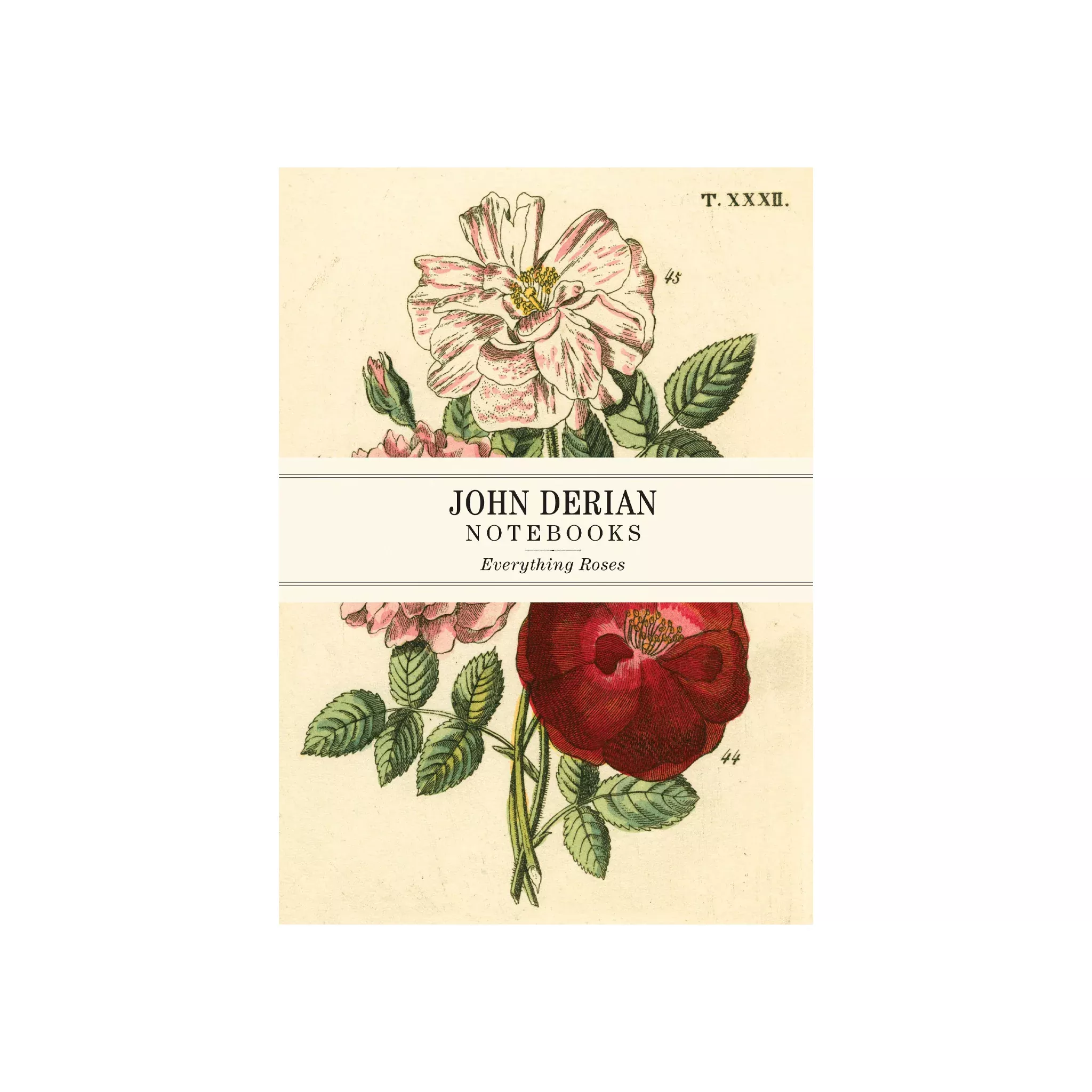 Everything Roses Notebooks by John Derian, Set of 3