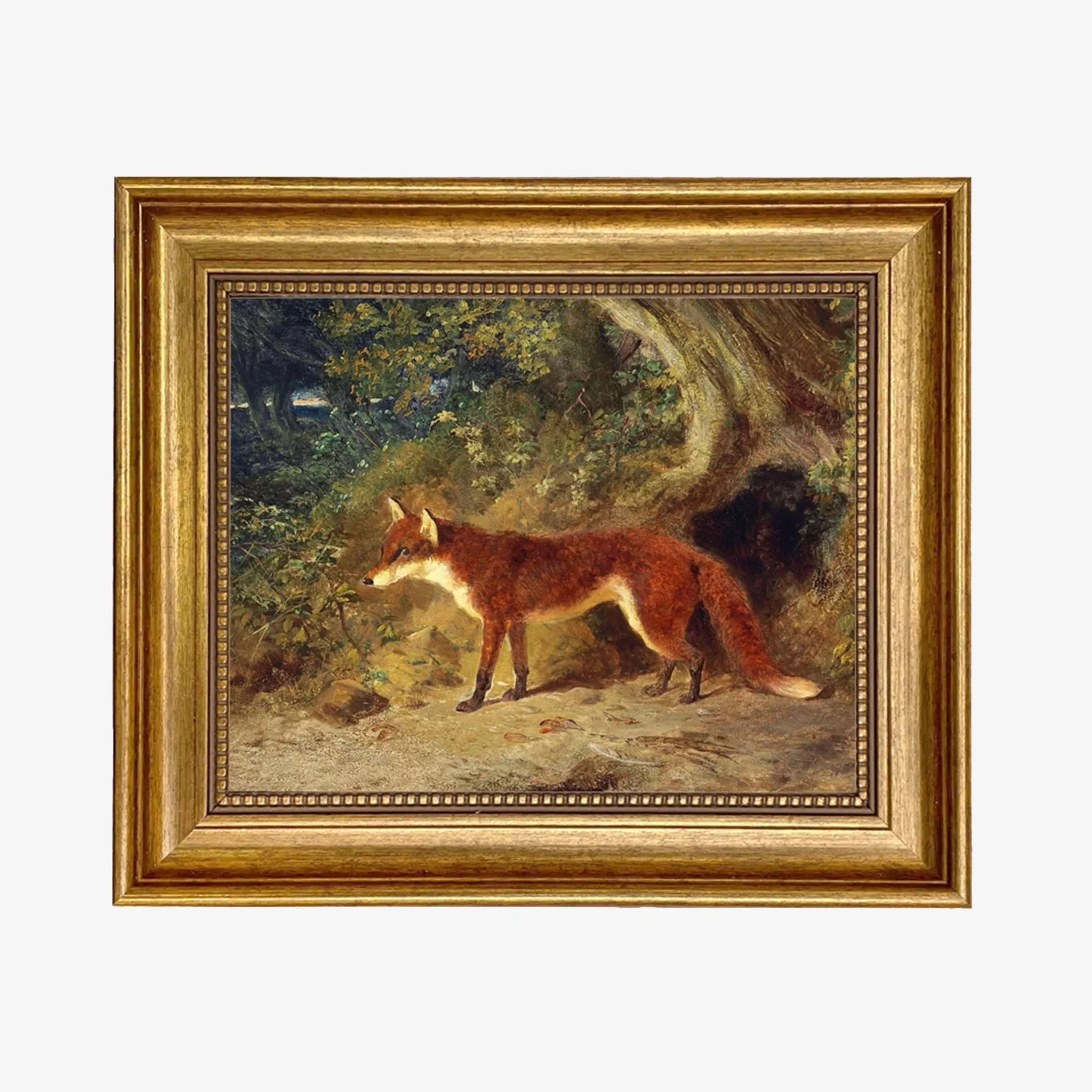 Fox and Feathers Vintage Framed Print