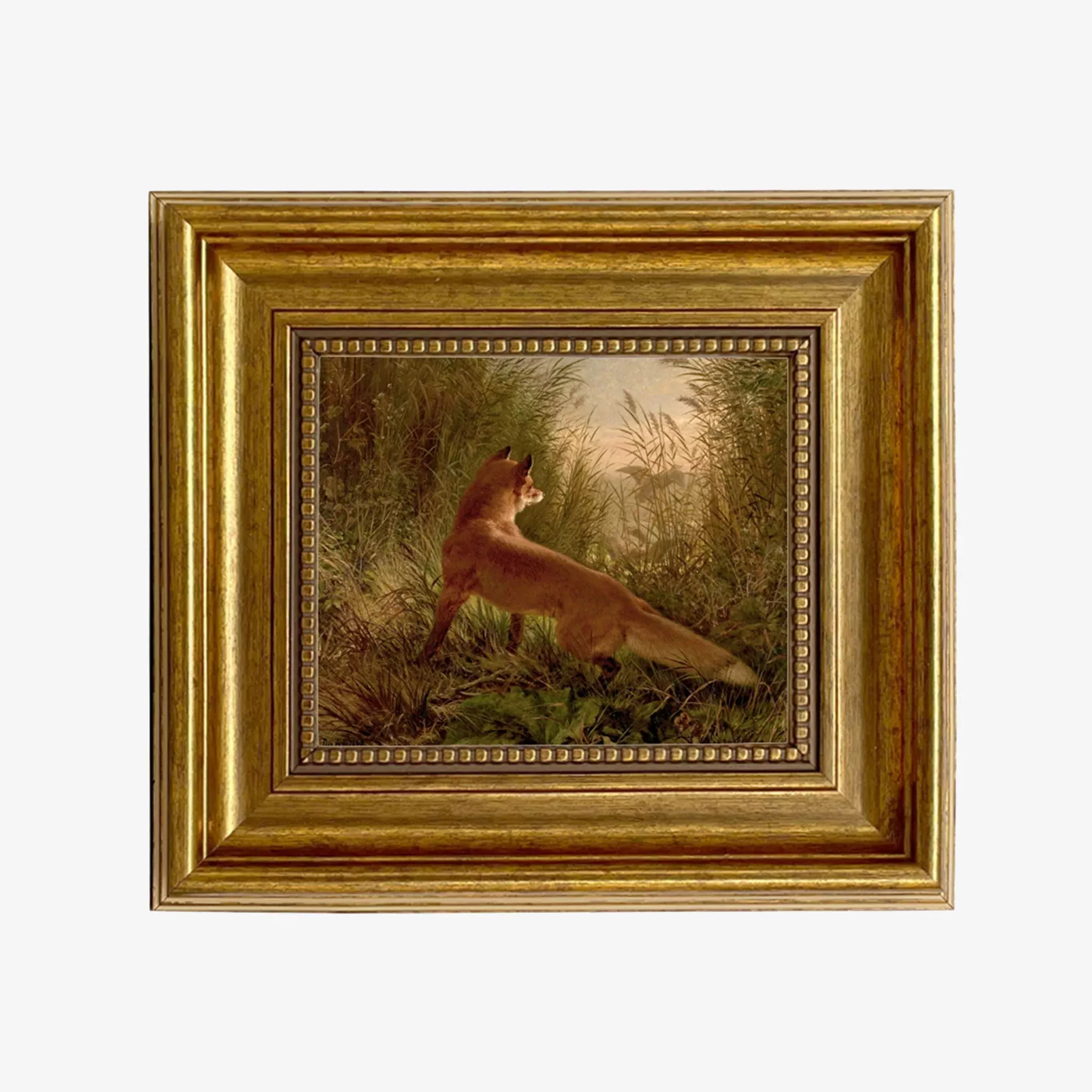Fox Flushing Ducks Vintage Framed Print