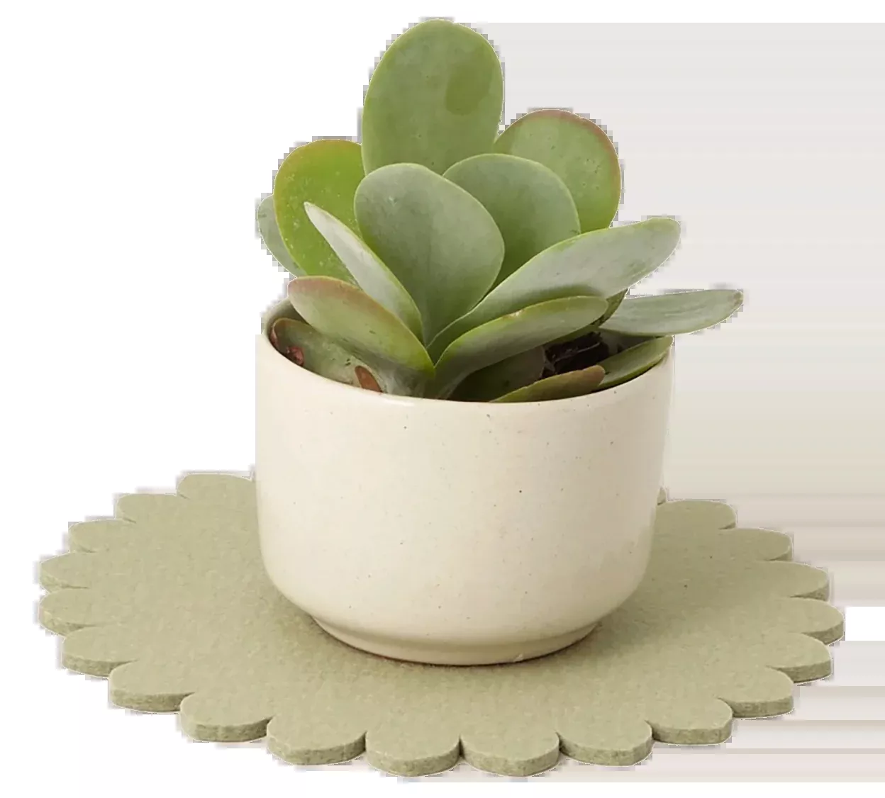 Graf Lantz Crest 8" Trivet – Dew