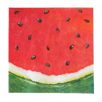 Hester & Cook Beverage Napkin – Watermelon – 20pk