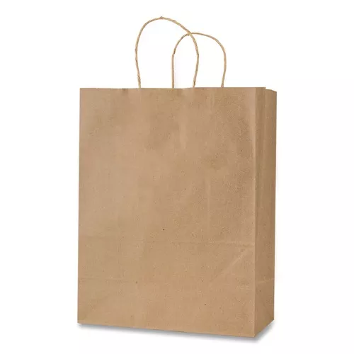 Inteplast Group KRFTW10513 Get Reddi 10 in. x 5 in. x 13 in. No. 60 Basis Weight Twisted Rope Handles Pixie Size Paper Bags - Brown (250/Carton)