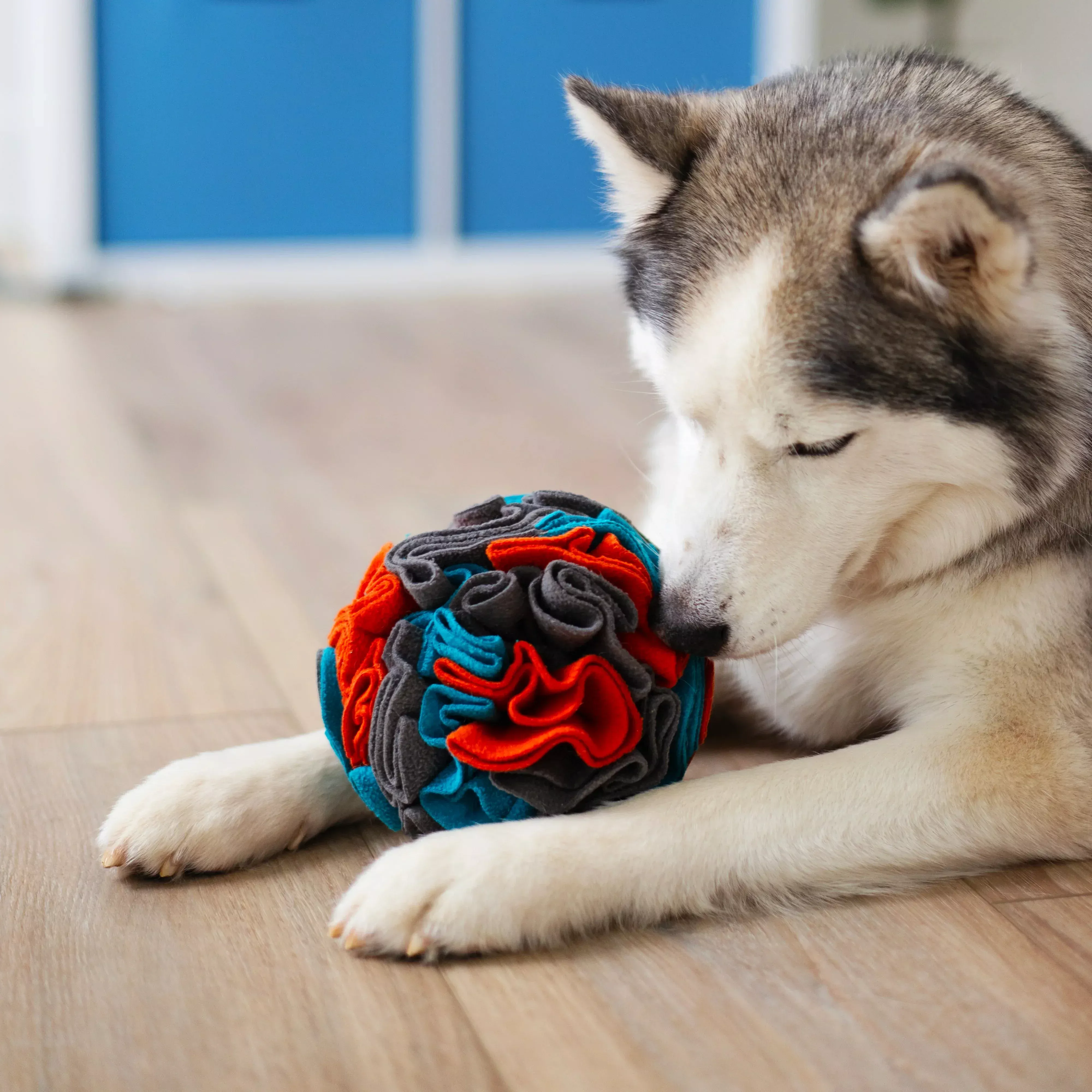 Large Messy Mutts Forage Ball