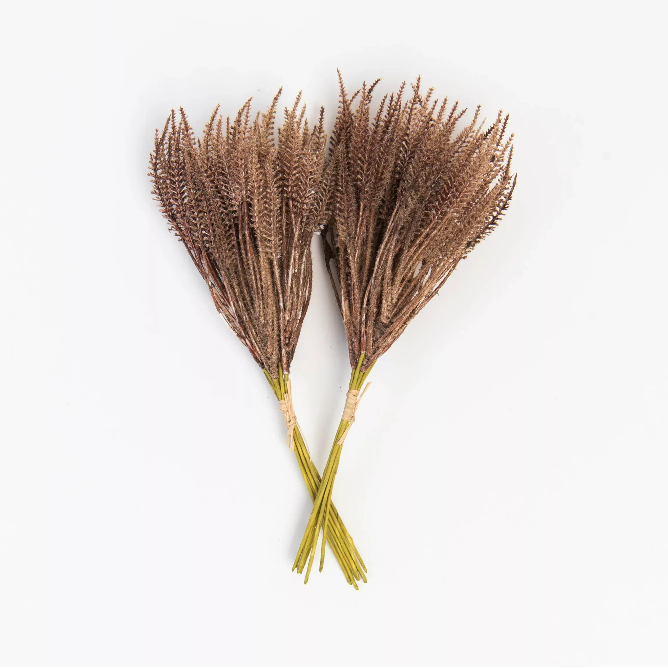 Mini Pampas Grass Bundle in Dark Brown