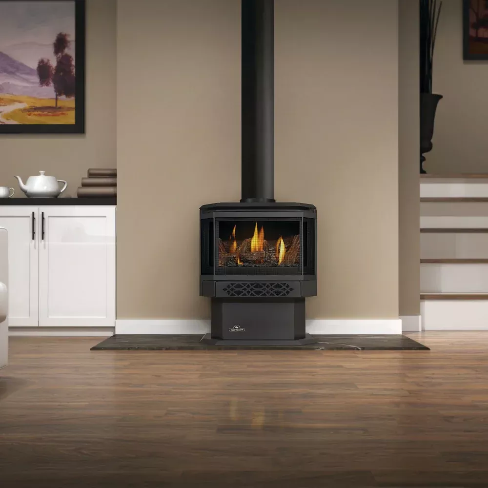 Napoleon Haliburton Direct Vent Gas Stove | GDS28