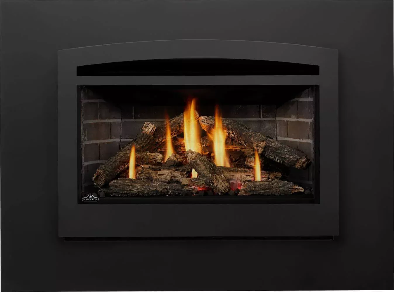 Napoleon Rosedale 3 Direct Vent Gas Fireplace Insert | RD3N