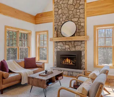 Napoleon Rosedale Gas Fireplace Insert