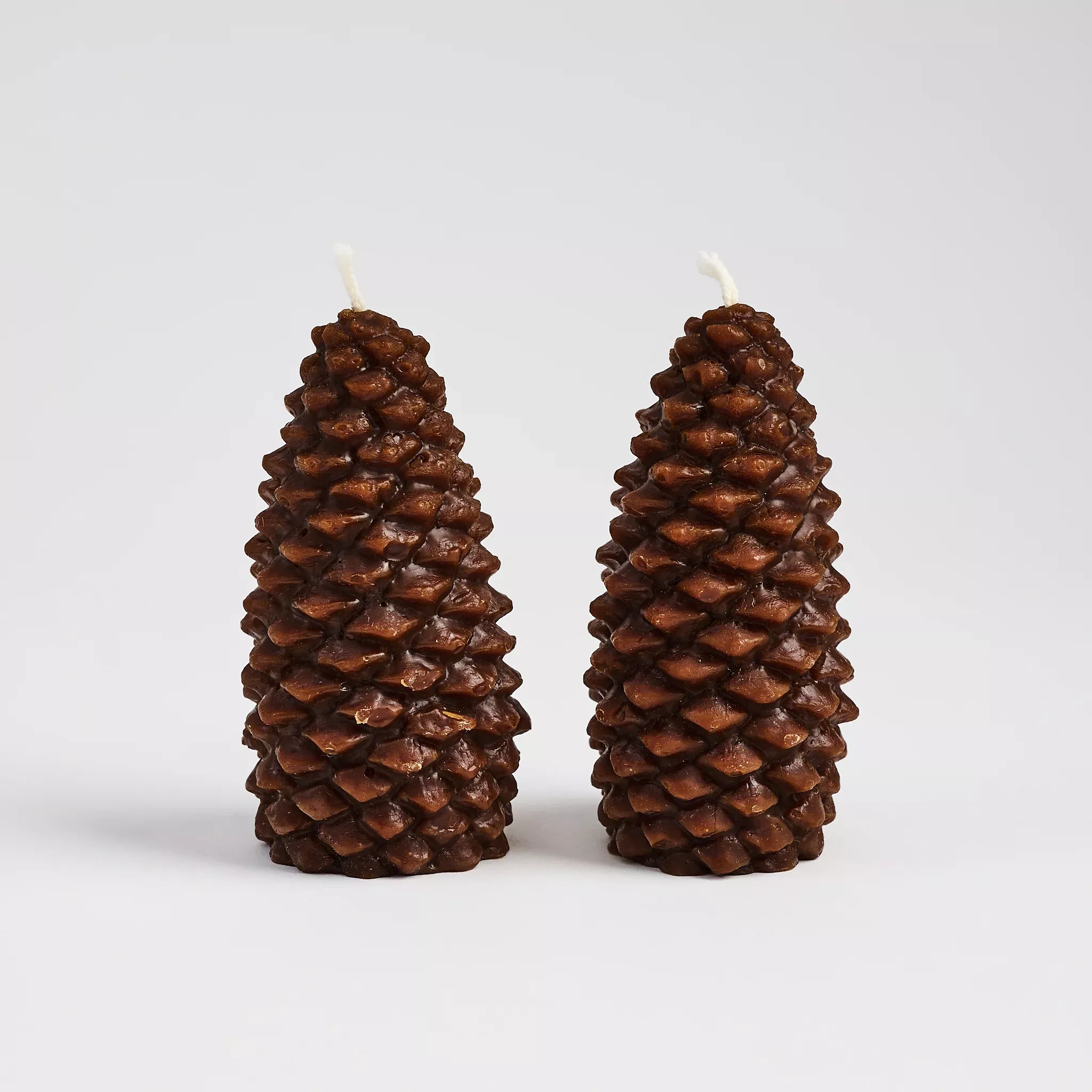 Pinecone Beeswax Candle in Espresso