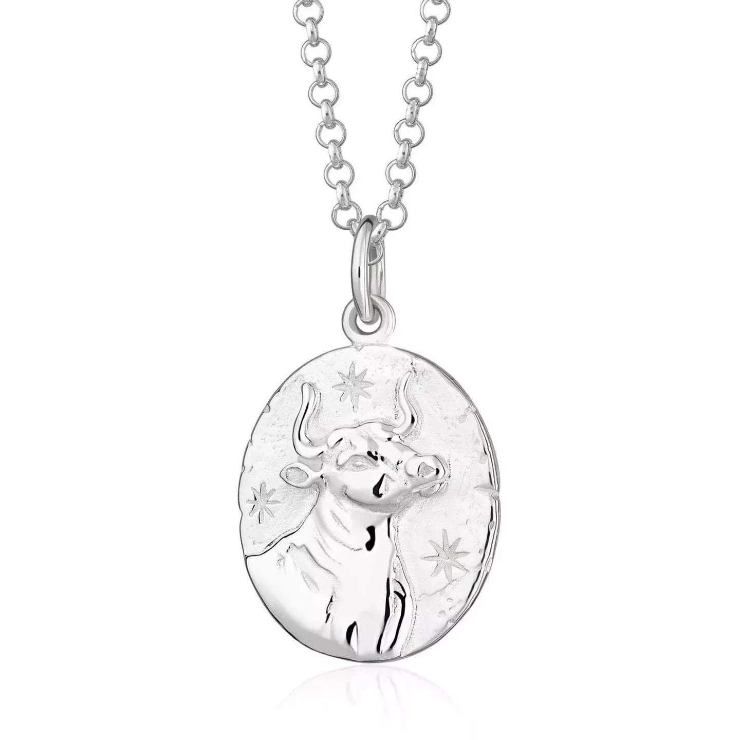 Scream Pretty Zodiac Silver Necklace, Taurus