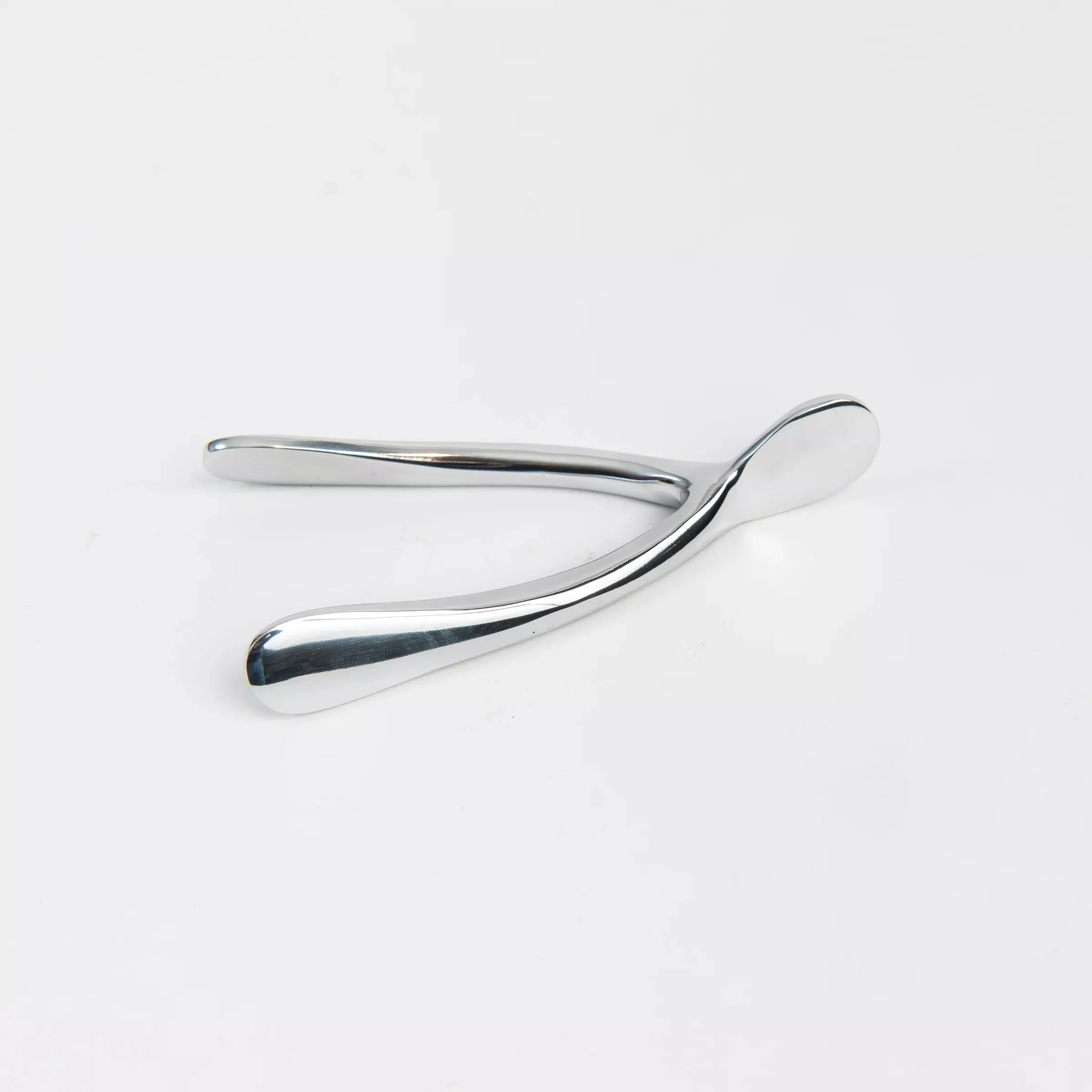Small Silver Wishbone