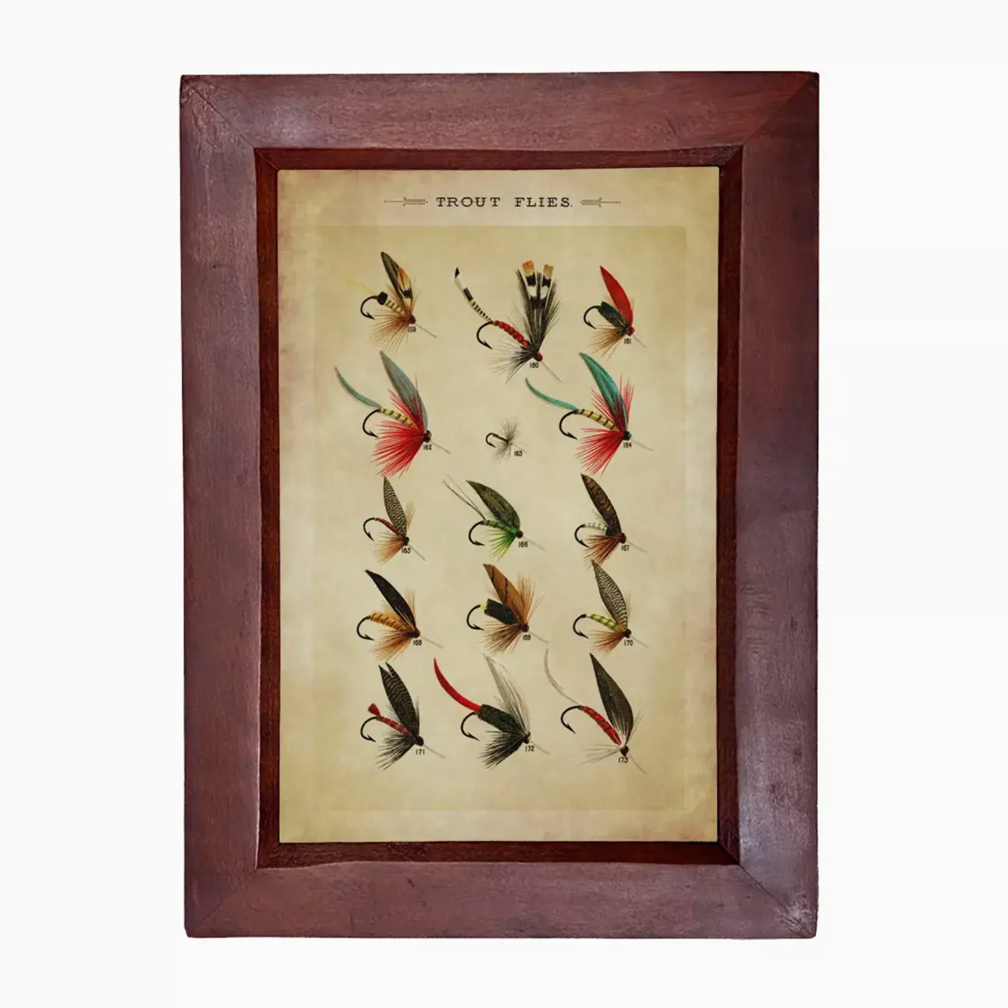 Trout Flies Framed Print